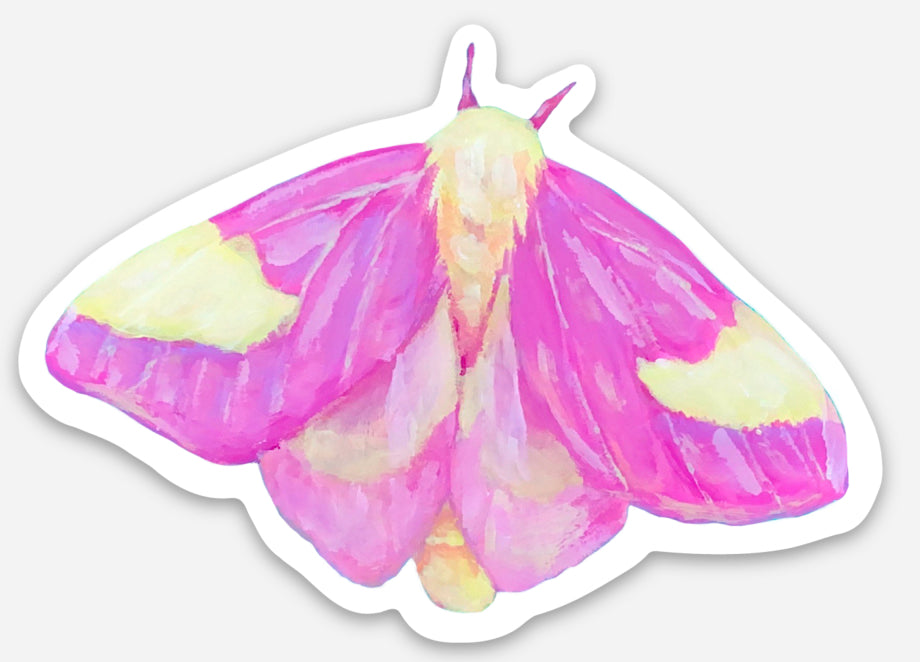 Rosy Maple Moth Sticker