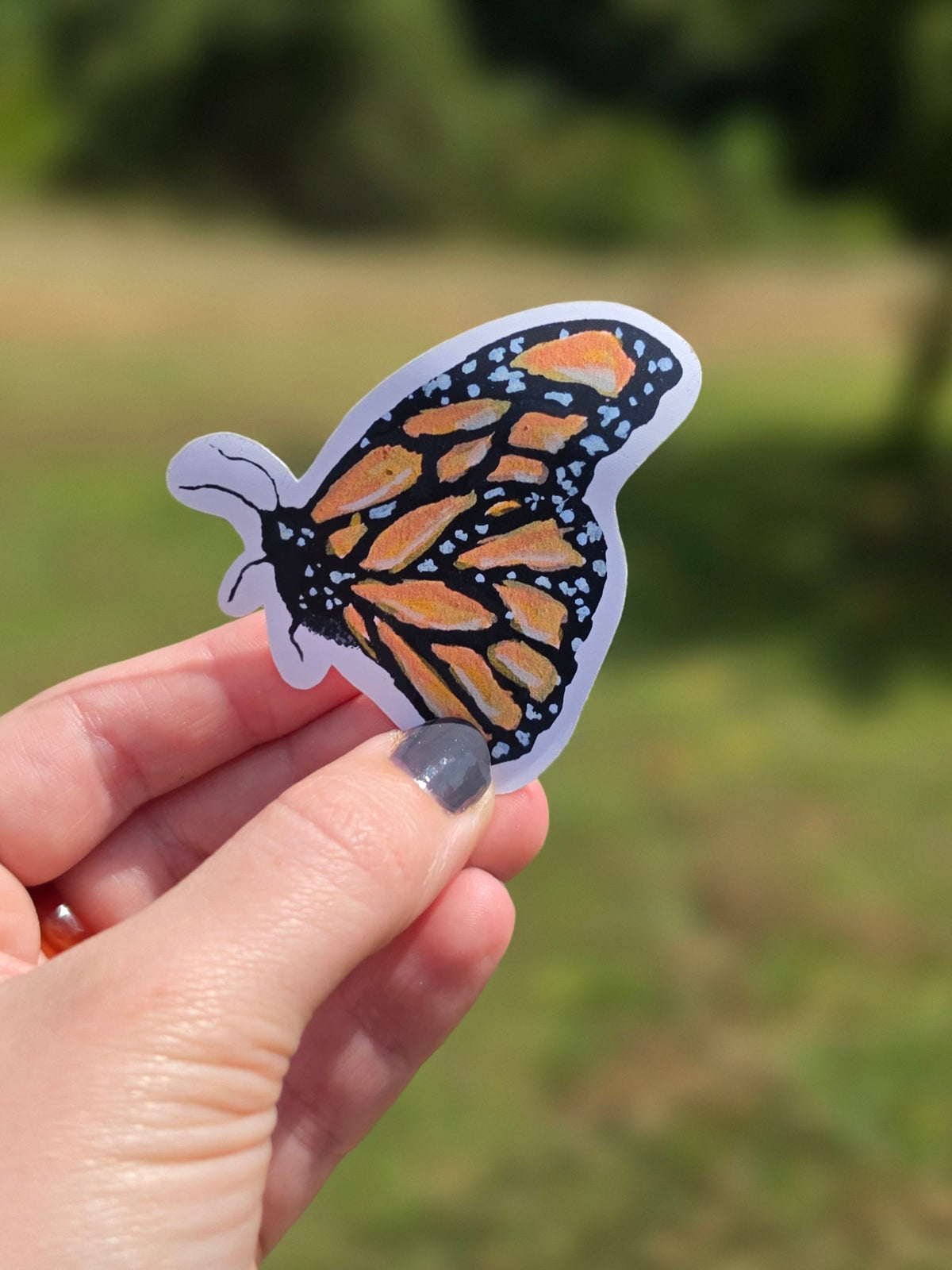 Butterfly Sticker Handpainted