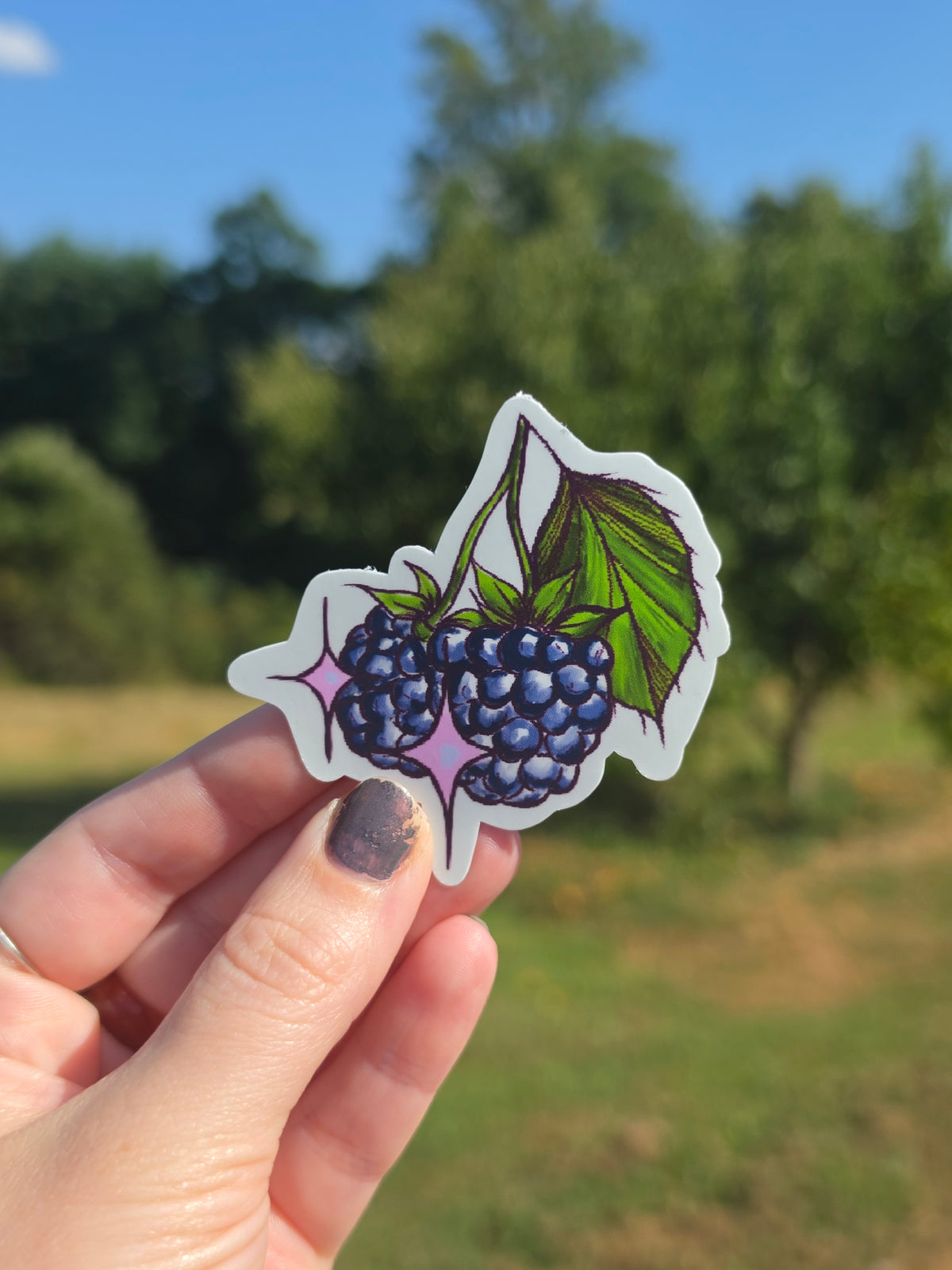 Sparkling Blackberry Sticker